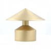 Brushed Brass